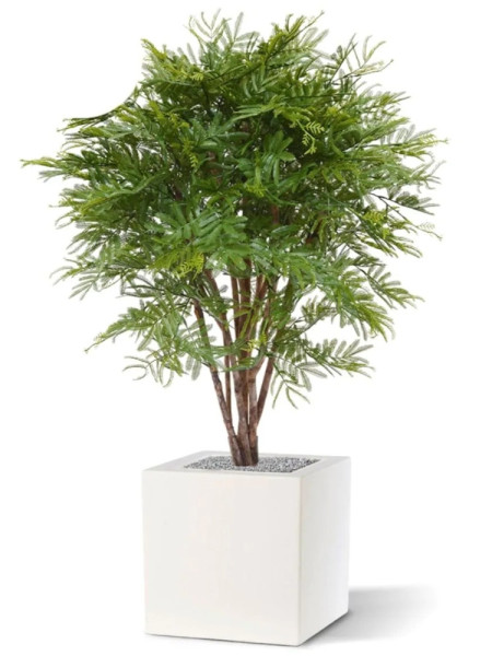 Искусственное дерево Мимоза H110cm NKoop DP