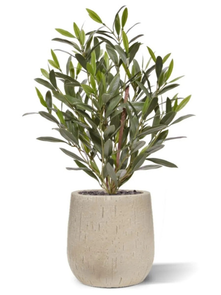 Штучний оливковий кущ H50cm NKoop DP