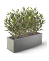 Штучний оливковий кущ H50cm NKoop DP