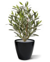 Штучний оливковий кущ H50cm NKoop DP