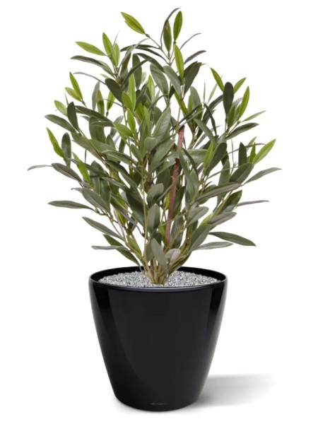 Штучний оливковий кущ H50cm NKoop DP