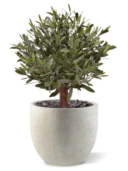 Штучне Оливкове дерево H60cm NKoop DP