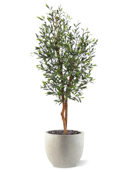 Штучне Оливкове дерево H150cm NKoop DP