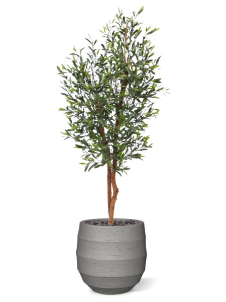Штучне Оливкове дерево H150cm NKoop DP