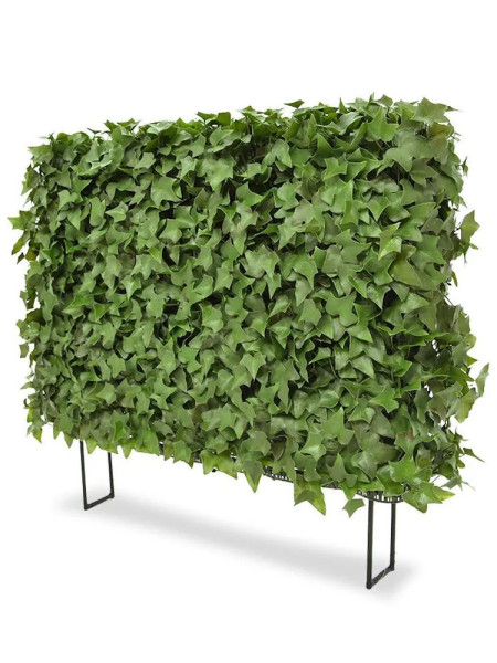 Штучний живопліт Плющ 80x56cm NKoop DP