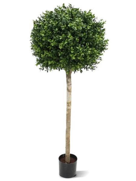 Штучний Самшит кулеподібний H110cm NKoop DP