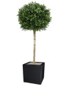 Штучний Самшит кулеподібний H110cm NKoop DP