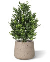 Штучний кущ Самшиту H45cm NKoop DP