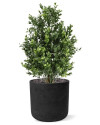 Штучний кущ Самшиту H45cm NKoop DP