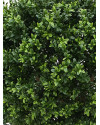 Штучний Самшит Deluxe кулеподібний H85cm NKoop DP