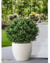 Штучний Самшит Deluxe кулеподібний H85cm NKoop DP