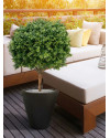 Штучний Самшит Deluxe кулеподібний H95cm NKoop DP