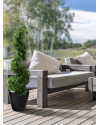 Штучний Самшит спіраль Deluxe H100cm NKoop DP