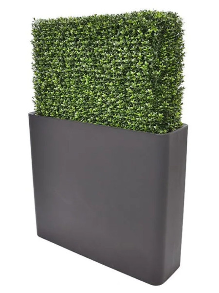 Штучний живопліт Самшит 80x56cm NKoop DP