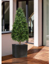 Artificial Boxwood Tower Tree Pyramid H140cm NKoop DP