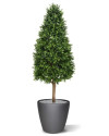 Artificial Boxwood Tower Tree Pyramid H140cm NKoop DP