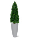 Artificial Boxwood Tower Tree Pyramid H170cm NKoop DP