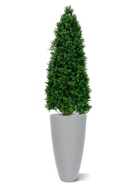 Artificial Boxwood Tower Tree Pyramid H170cm NKoop DP