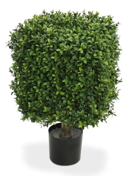 Штучний Самшит кубічний 30х30cm NKoop DP