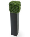 Штучний Самшит кубічний 30х30cm NKoop DP