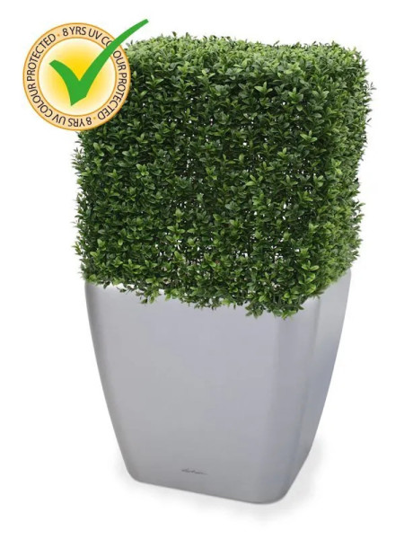 Штучний Самшит Deluxe кубічний 45х45cm NKoop DP