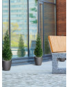 Штучний Кипарис Deluxe H120cm NKoop DP