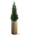 Штучний Кипарис Deluxe H120cm NKoop DP