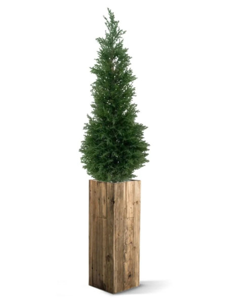 Штучний Кипарис Deluxe H120cm NKoop DP