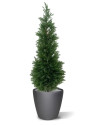 Штучний Кипарис Deluxe H120cm NKoop DP