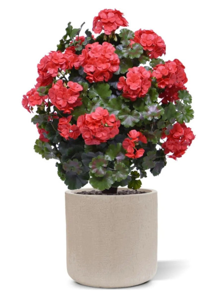 Штучний Журавець червоний H70cm NKoop DP