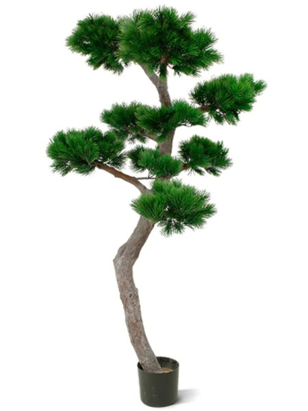 Artificial Pinus Bonsai tree H210cm NKoop DP