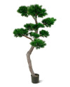 Artificial Pinus Bonsai tree H210cm NKoop DP