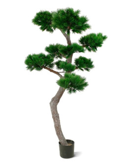 Artificial Pinus Bonsai tree H210cm