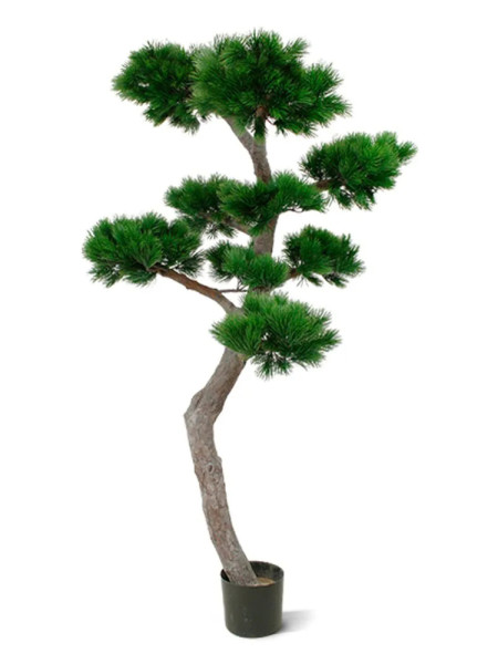 Artificial Pinus Bonsai tree H210cm NKoop DP