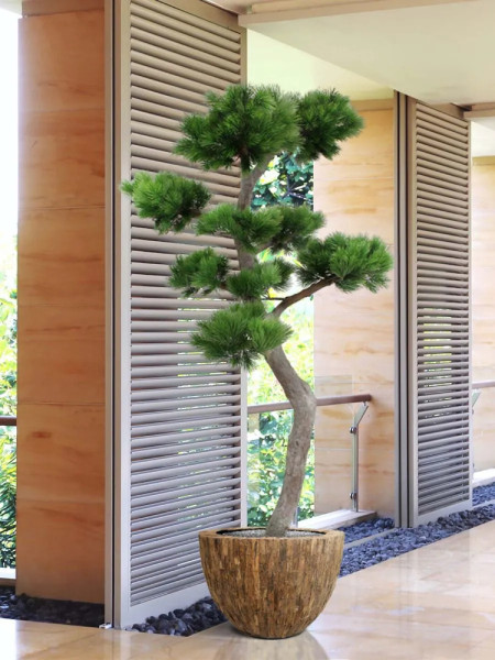 Artificial Pinus Bonsai tree H210cm NKoop DP