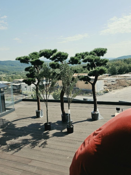 Artificial Pinus Bonsai tree H210cm NKoop DP