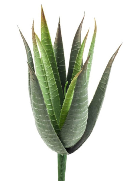 Artificial plant Aloe vera bush H23cm NKoop EEG