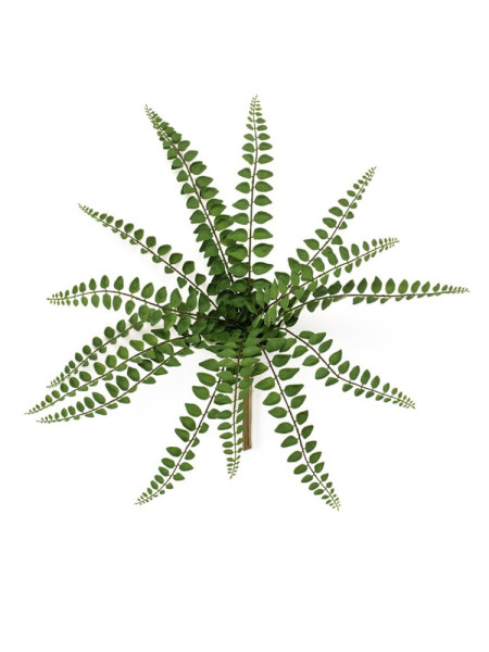 Artificial Fern pellaea bush H35cm NKoop EEG
