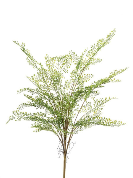 Artificial Fern Adianthum bush H75cm NKoop EEG