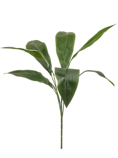 Artificial plant Aspidistra bush H78cm NKoop EEG