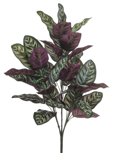 Artificial plant Calathea bush H70cm NKoop EEG