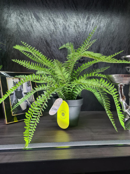 Искусственный Папоротник куст H53cm NKoop EEG