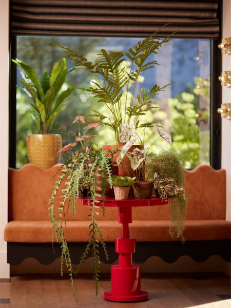 Искусственное растение Epiphyllum Branch / Эпифиллум ветка H125cm NKoop EEG