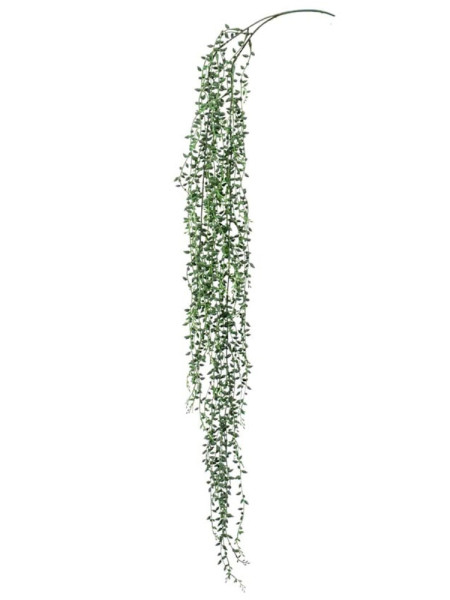 Искусственный Сенецио лиана H95cm NKoop EEG