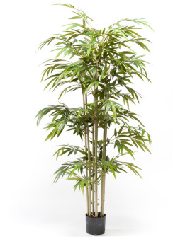 Искусственное растение Bamboo / Бамбук H180cm