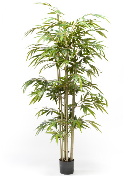 Искусственное растение Bamboo / Бамбук H150cm NKoop EEG