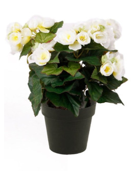 Artificial Plant Begonia bush cream H30cm