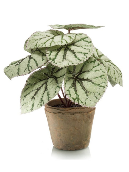 Artificial plant Begonia bush H25cm NKoop EEG
