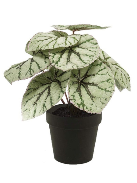 Artificial plant Begonia bush H25cm NKoop EEG