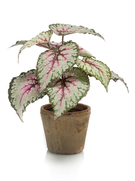 Artificial plant Begonia bush H25cm NKoop EEG